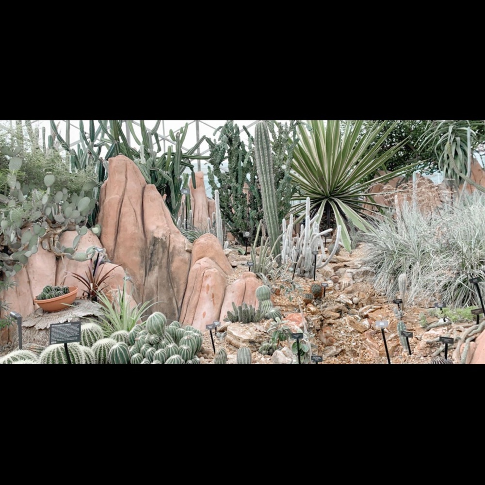 Meet your Posher, Chloe